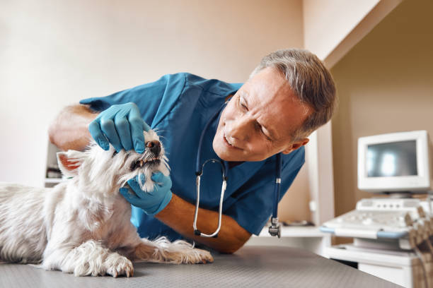 Best Emergency Treatment for Jaw Pain or Injury in Ricardo, TX